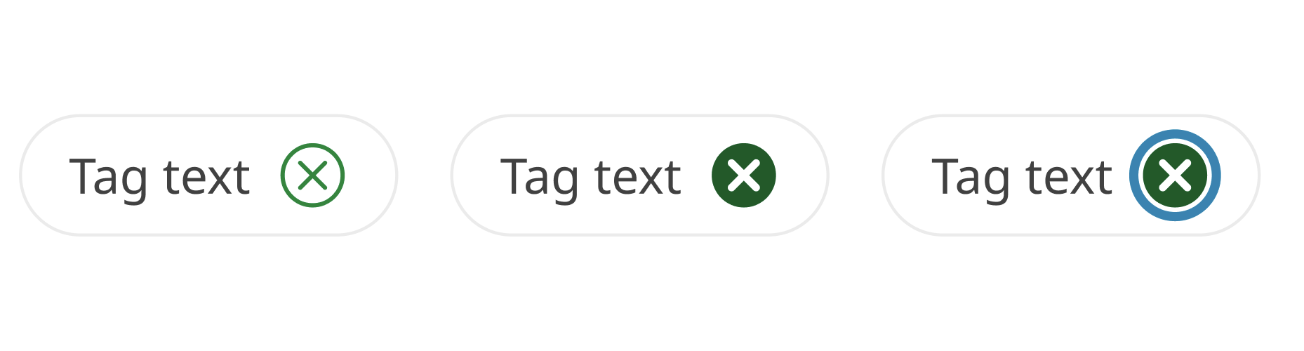 The previous applied filter tag with a small gap between the X icon and the focus outline.